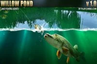 Willow Pond, un colorido simulador de pesca