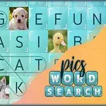 Sopa de letras con imágenes de animales y las palabras DOG y CAT destacadas, acompañadas por fotos de un perro, un gato, un pato y un oso de peluche
